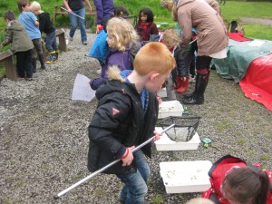 Pond dipping