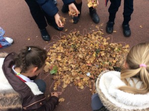 Making a hedgehog in Golden playtime