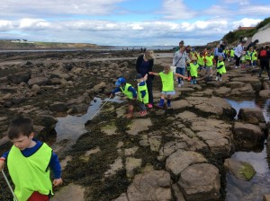 Rock pooling