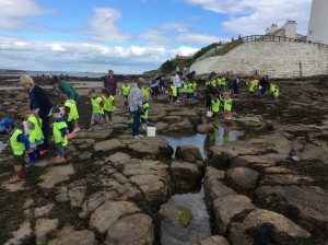 Rock pooling