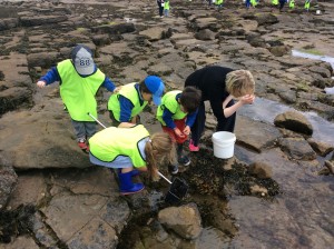 Rock pooling