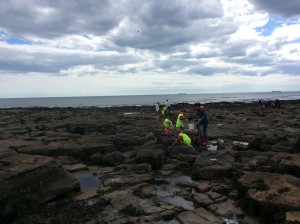 Rock pooling