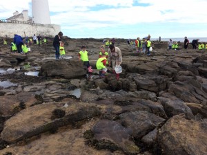 Rock pooling