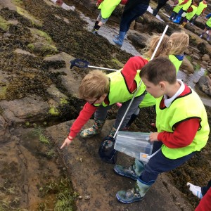 Rock pooling