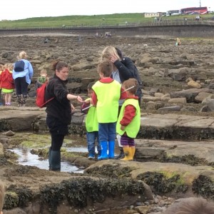 Rock pooling