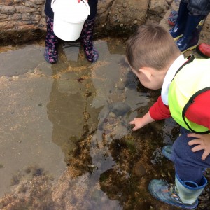 Rock pooling