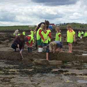 Rock pooling