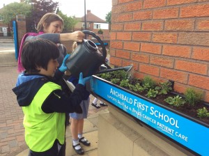 watering the flowers